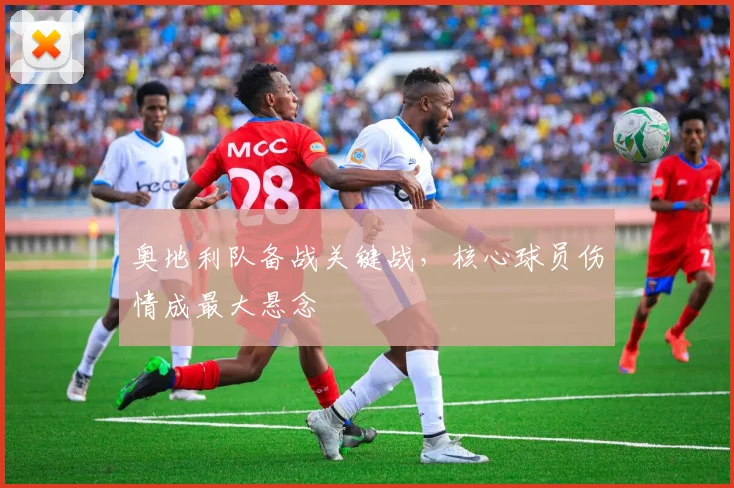 奥地利队备战关键战，核心球员伤情成最大悬念