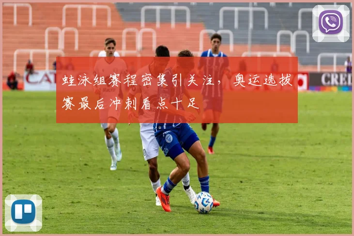 蛙泳组赛程密集引关注，奥运选拔赛最后冲刺看点十足
