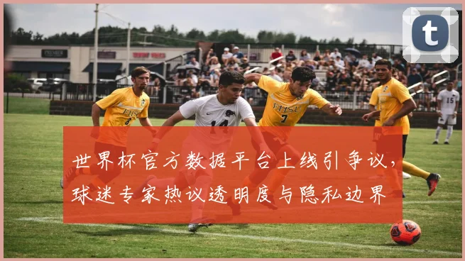 世界杯官方数据平台上线引争议，球迷专家热议透明度与隐私边界