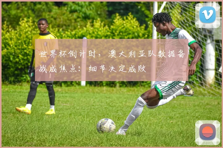 世界杯倒计时，澳大利亚队数据备战成焦点：细节决定成败