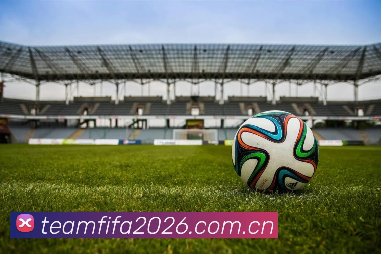 2026世界杯 多端展示